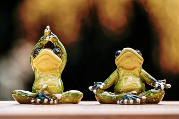 frogs-g4a75614fb_1920